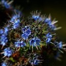 융한의원 이미지