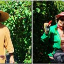 복흥면 체육공원 이미지