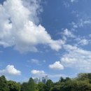 11680-231-136외 | W 헤어변형 추천(Feat. 오늘 하루, 헤어변형 허소영, 좋은날, 헤어바이재니(hair by zany), 세실쓰살롱)