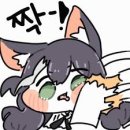 쪼개니