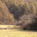 고원목장(2) 이미지