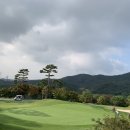 골프스쿨 이미지