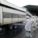 이동가축병원 이미지