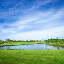 골프니스 이미지