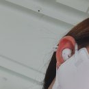 버즈라이브카페