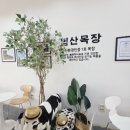 왕산목장 | 인천왕산해수욕장 카페 추천, 범산목장 인천왕산해수욕장점! 유기농 아이스크림까지 즐기는 힐링 카페