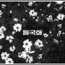 만물쇼핑센타 이미지