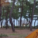 연곡1리 마을회관 | 1박2일 인제아침가리 계곡트래킹 필수템 동해 연곡솔해변 캠핑 여행