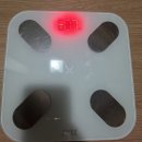 익기차 | 마운자로 7개월차 후기｜10mg 12주차 5일 후기 (반감기 시작? 허기는 빨라졌지만 포만감은 여전했던 하루)