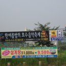 쌍암주유소 이미지