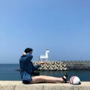 낭만스쿠터 이미지