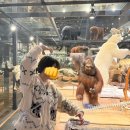 국립중앙과학관 노동조합 | 김화칼국수, 꿈돌이하우스, 프렐류드샵, 국립중앙과학관, 대전천문대, 농민뜨끈이, 태평소국밥, 성심당...