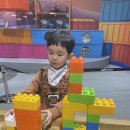 더바람종