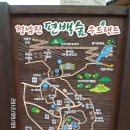 100차 산여울산악회 정기산행 (전남 장흥 편백숲 우드랜드.억불산) 이미지