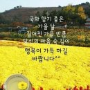 10월17일 오늘도 화이팅입니다 &간추린 뉴스 이미지