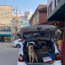 백구세탁소 이미지