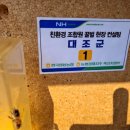 한국양봉농협 동물병원 이미지