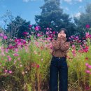 속초 외할머니댁 이미지