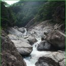 쌍용19로 이미지