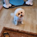 영심이살롱곰곰이호텔 이미지