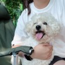 강림면342 | [강원] 쫌쫌따리 모은 강원도 캠핑 기록