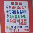 호박 관광나이트 이미지