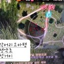 선태농장 이미지