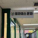 SK세탁 | 추천 기구 필라테스 추천 디스크 재활 운동 추천 |성북구 종암동 필라테스 1대1전문 윤화 솔직 후기 총정리