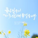 책 속 좋은 글귀 캘리그라피 이미지
