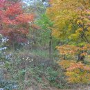 힐링철학원(사주,궁합,작명,상호) 이미지