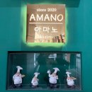 아마노 | 광교호수공원 맛집 또간집 아마노 파스타 후기