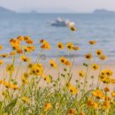 장등을 밝히다 이미지