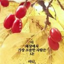 해솔 이미지