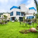 다와카페 이미지