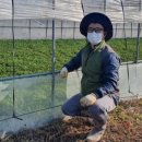 사리골농장 이미지