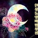 타래상점 이미지
