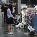 시청역 7번출구 인근 이미지