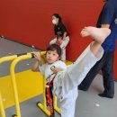 바로커 태권도 교육관 이미지