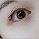 평촌라츠오피스텔 건너편 | 평촌 속눈썹, 멜로즈뷰티 안양평촌점에서 속눈썹연장 경험 솔직 후기!