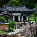 유마사