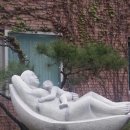 자애산부인과 이미지