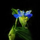 이미지만 올릴 수 있다고... 이미지