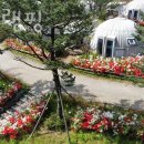 글램핑 추천 햇골글램핑 후기 가격 예약 총정리