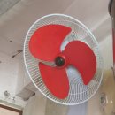 제주쌀국수 적점 , 제주도에서 베트남의 맛을 ?! 고기많지vs맵지