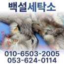 백설세탁소 - 강북구 도봉로50길 28 | 백설세탁소