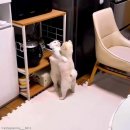 포옹하다 이미지