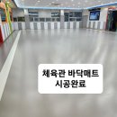 태권스토리 이미지