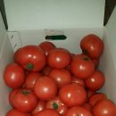 우지농장 이미지