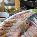 톨랑톨랑 이미지