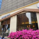 푸르파파 역삼언주로점 이미지
